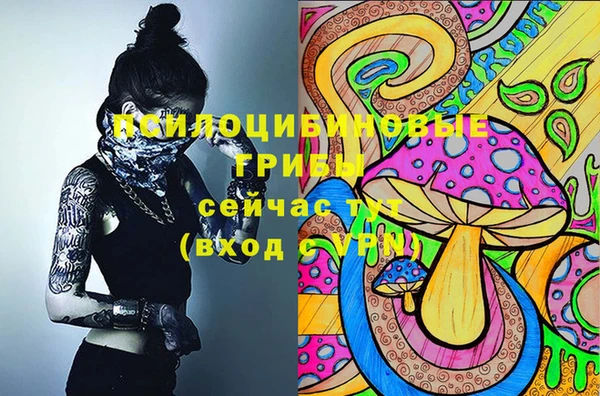 СК Алексеевка