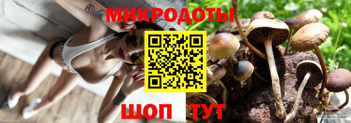 Галлюциногенные грибы ЛСД Моздок