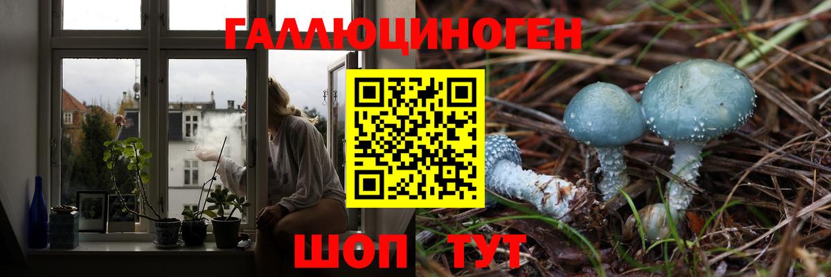 Галлюциногенные грибы мицелий  Псилоцибиновые грибы мицелий  Моздок  Вход с VPN 
